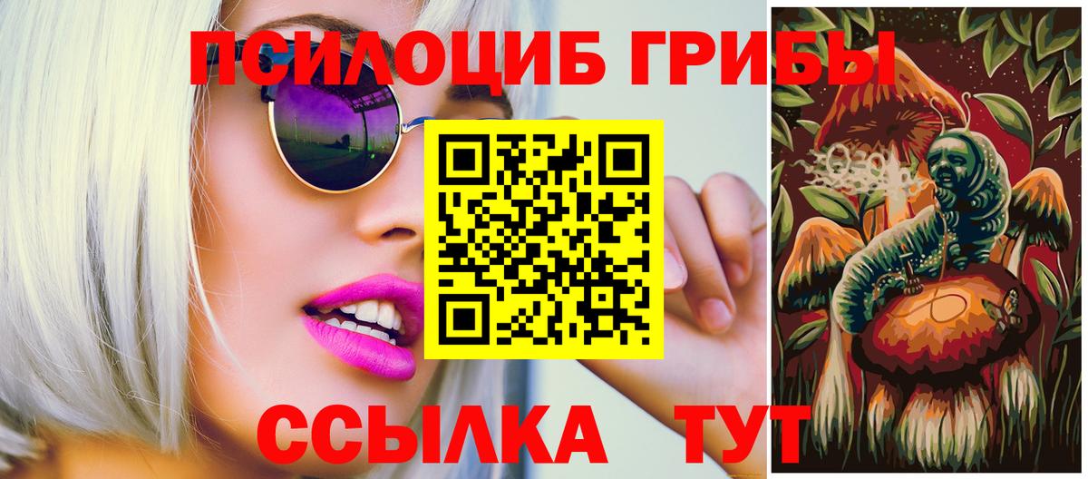Сунжа  Галлюциногенные грибы Cubensis  наркота  Вход с VPN  Галлюциногенные грибы Cubensis 