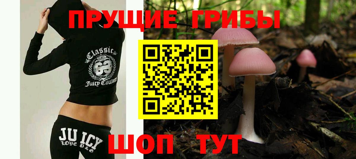 Галлюциногенные грибы мухоморы Сунжа