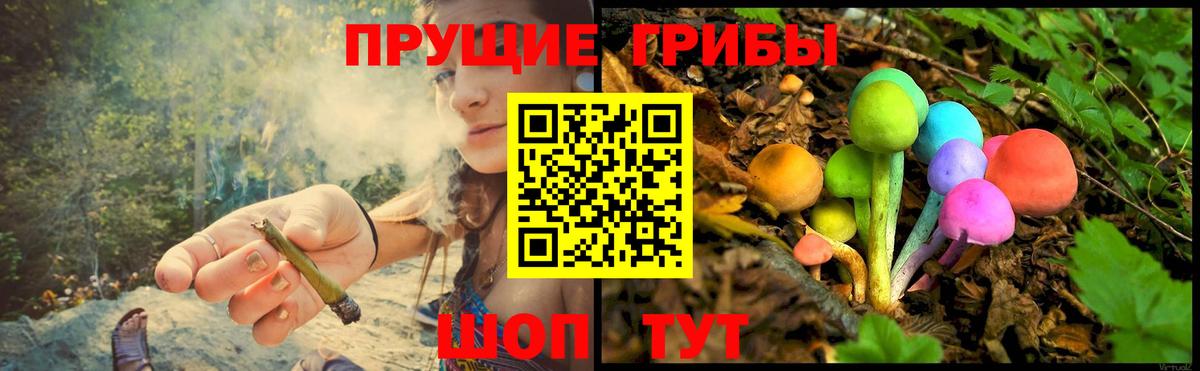Сунжа  COCAIN  Вход с VPN  Амфетамин кристаллы  Лсд 25  ГАШИШ  МЕФ  